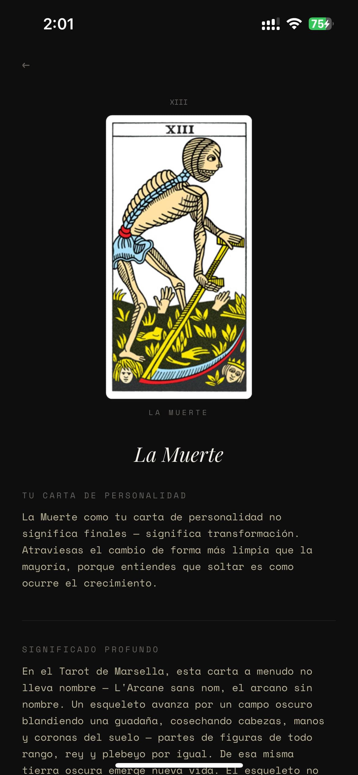 Mirror Veil screenshot 3
